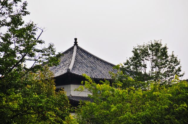 雲門寺，真的好美！