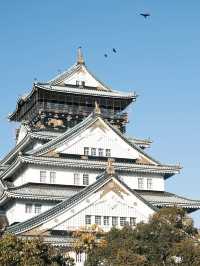 5日日本親子遊 輕鬆帶娃玩轉全境