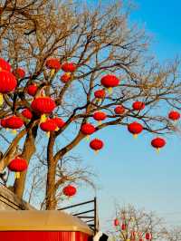 元宵賞燈會好去處，模式口大紅燈籠高高掛