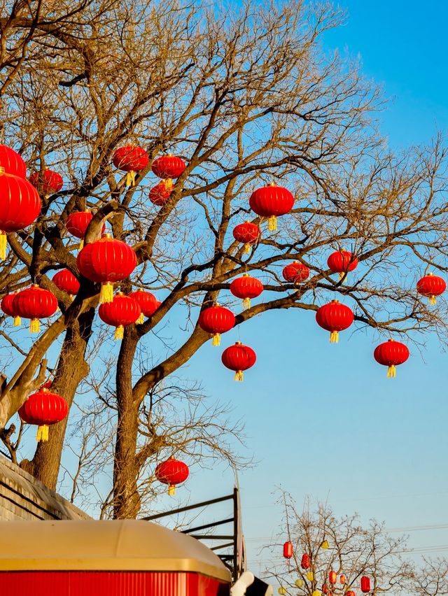 元宵賞燈會好去處，模式口大紅燈籠高高掛