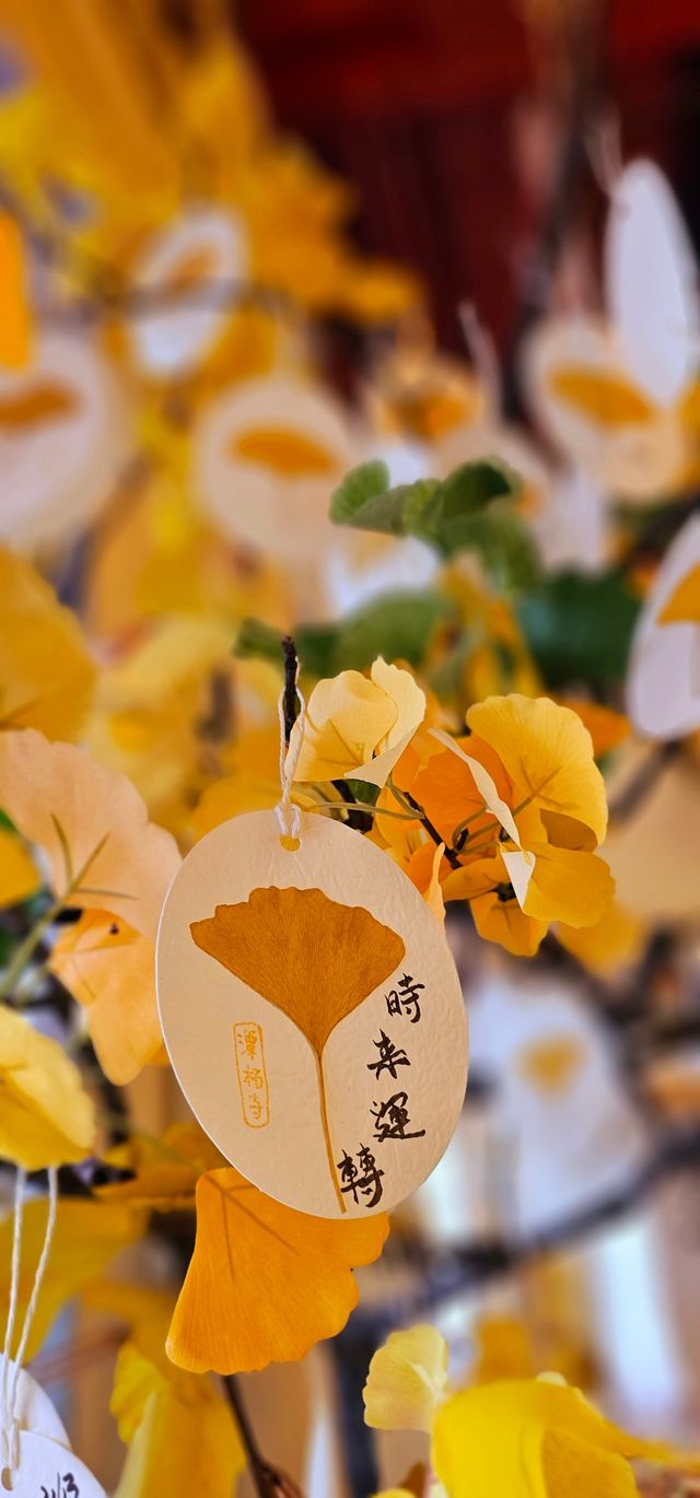 秋季潭柘寺旅遊攻略