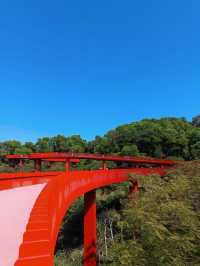 #深圳市虹橋公園之美