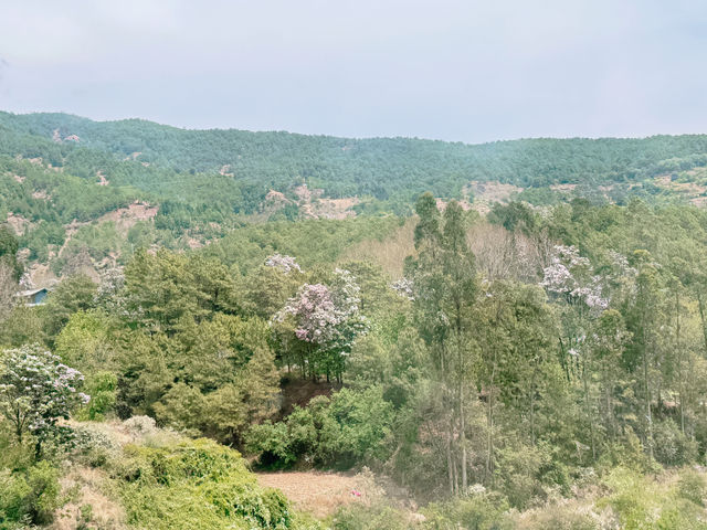 大理古鎮一日遊|保姆級路線攻略