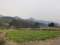 美麗鄉村 南陵霭里