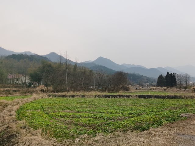 美麗鄉村 南陵霭里