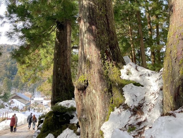 永平寺：一場穿越時光嘅禪意修行