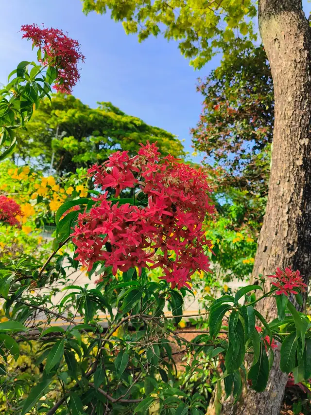 新加坡5日遊 免簽暢玩不轉彎