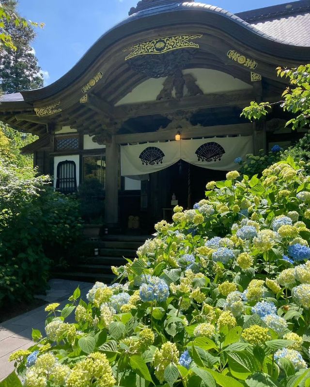 接下來日本的花，粉蝶藍：宮崎駿動畫裡的世界🪄