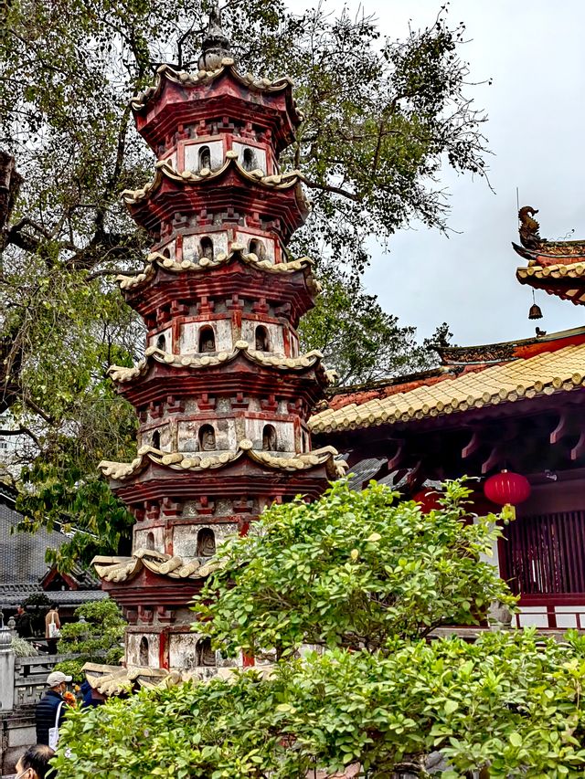 又是一樹黃花