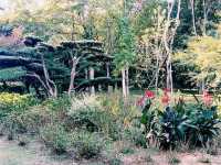 Exploring Wenzhou Secrets as Visa Free Transit Visitor: Now Even More Convinient