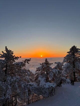 今日雪後黃山的日出絕了
