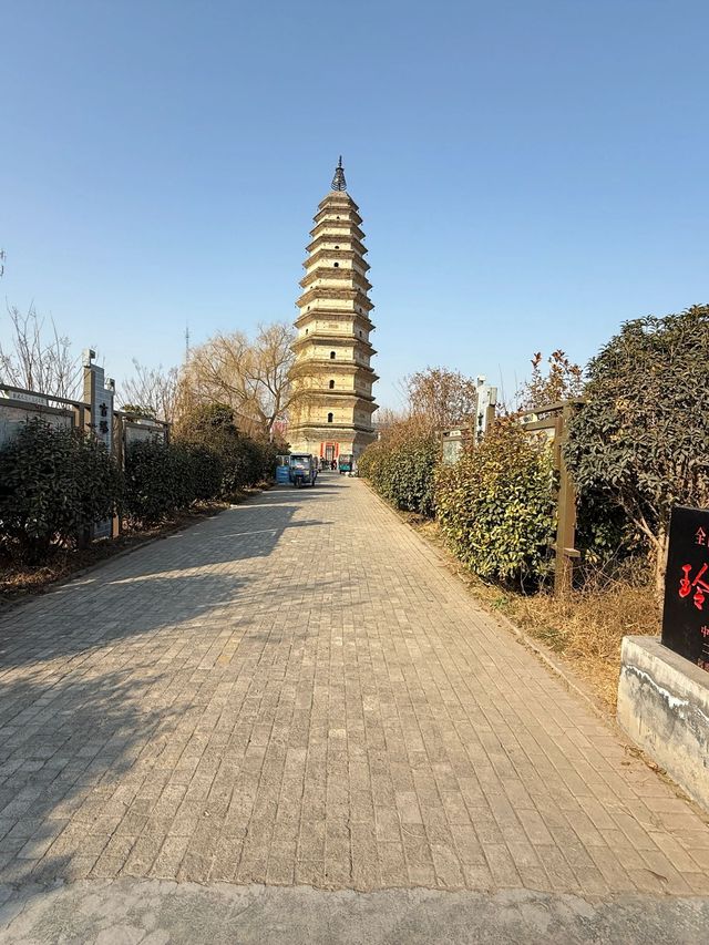 意大利 8 日遊 長者出行全攻略必看
