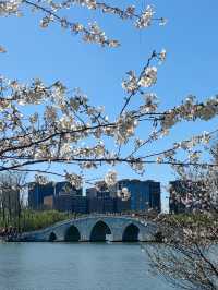 玉淵潭公園｜一場浪漫的春日奔赴