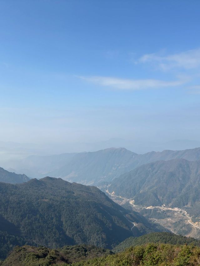 九江2日遊 森林探秘之旅