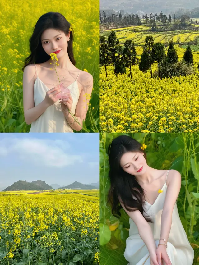 No one told me the rapeseed flowers in Luoping were so beautiful!
