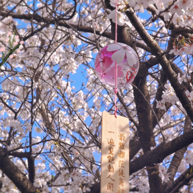🌸人間仙境！堤角公園邂逅浪漫櫻花雨
