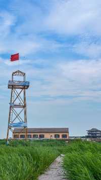 一下車，我就直奔紅海灘國家風景廊道
