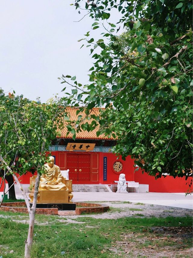尼泊爾8日遊｜清明假期 玩轉加德滿都