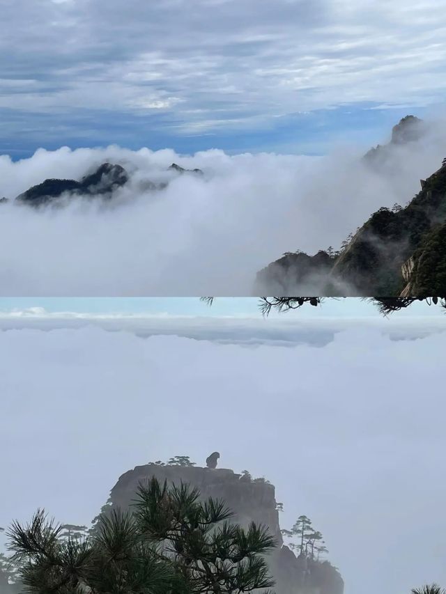 想深度遊黃山，這些特色玩法怎能錯過？