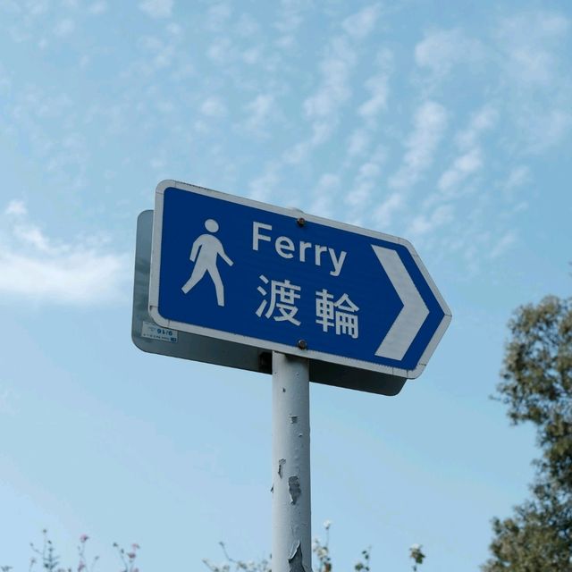 🌸東涌櫻花園 | 春日打卡必去🌸