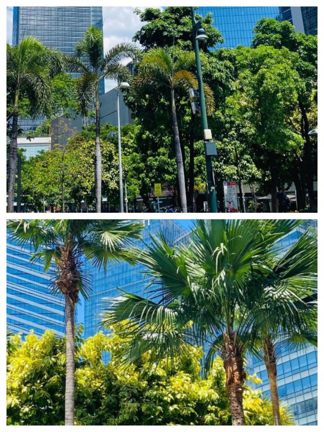 帕西市：菲律賓的魅力明珠，邂逅熱帶風情