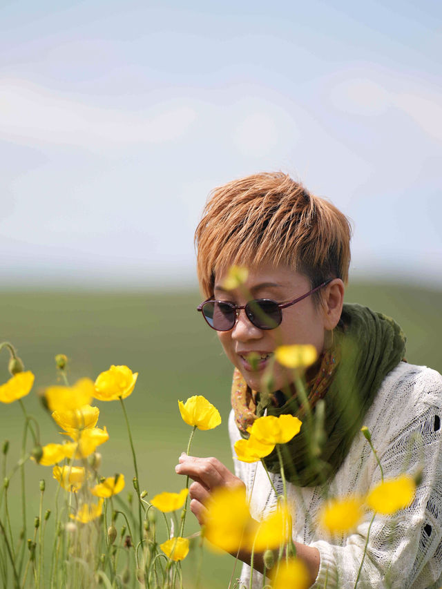報咗個當地神仙團，呼倫貝爾算係玩明白了