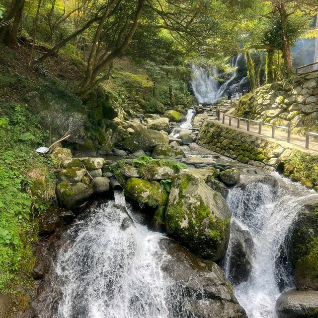 🇯🇵｜福岡❶小眾秘境㊙️隱藏在深山裡的森林☕️