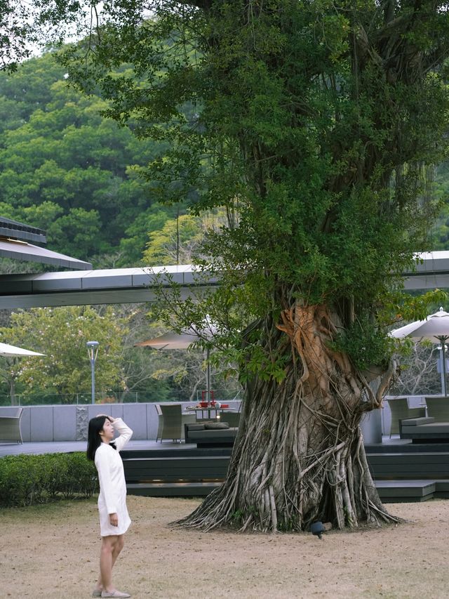 為這中式美學瘋狂心動廣州市區避世秘境