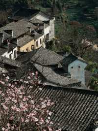 小長假來九江-上饒-景德鎮 玩法大揭秘別錯過