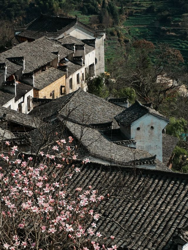 小長假來九江-上饒-景德鎮 玩法大揭秘別錯過 小長假來九江-上饒-景德鎮 玩法大揭秘別錯過