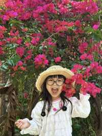 喺廣州，春日嘅浪漫係由紫荊花賦予嘅！