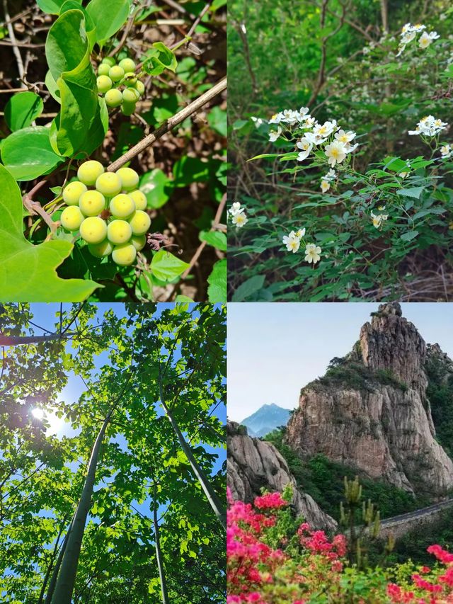 五蓮山：日照美景中嘅隱秘天堂！