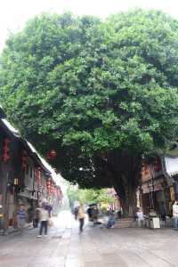 去了兩次&玩了五天福州｜推薦和避雷景點大全