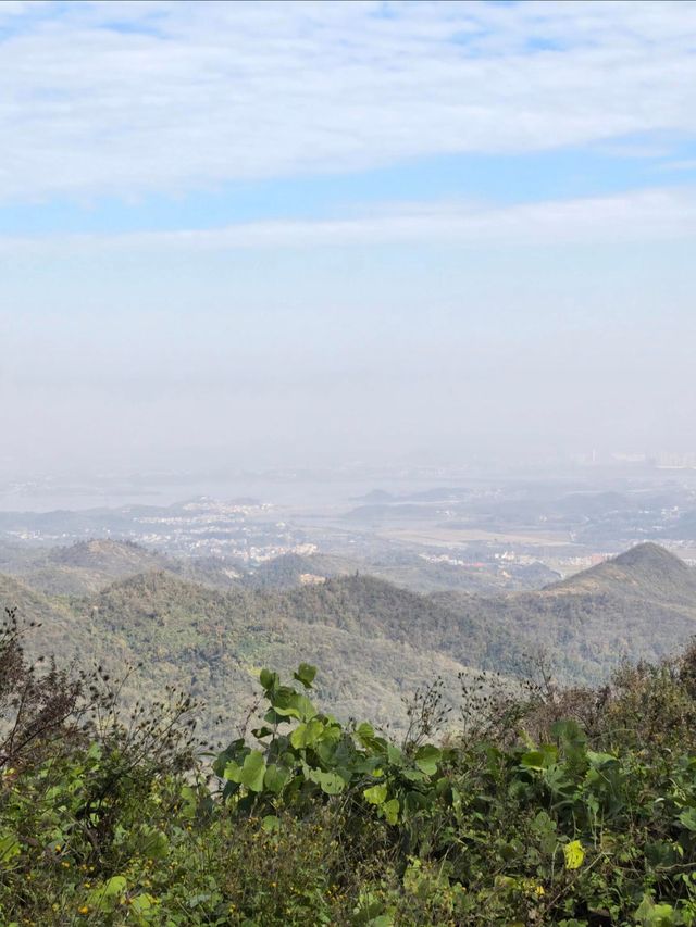 黃石東風山 ——被雲霧包圍的徒步天堂