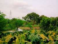 Haokun Wet Land Reserve: Ecological Treasure and Nature Beauty Museum