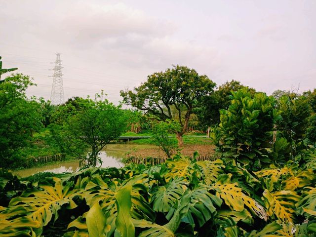Haokun Wet Land Reserve: Ecological Treasure and Nature Beauty Museum