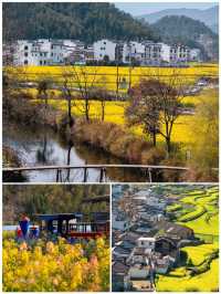 4 月去婺源玩嘅攻略，睇呢篇就夠喇