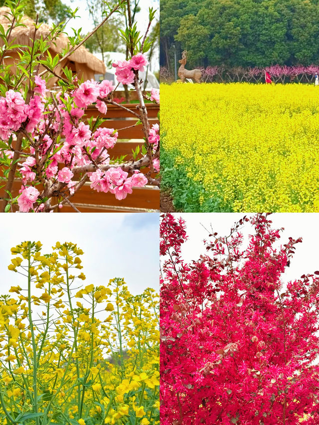 蕪湖鳩茲灣露營地，40 分鐘逃離都市！