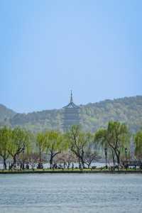 一棵樹上兩色花，杭州嘅桃花都好叻咁喎