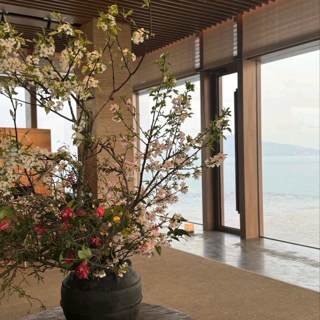 珠海東澳島阿麗拉，超正住宿體驗預告😎