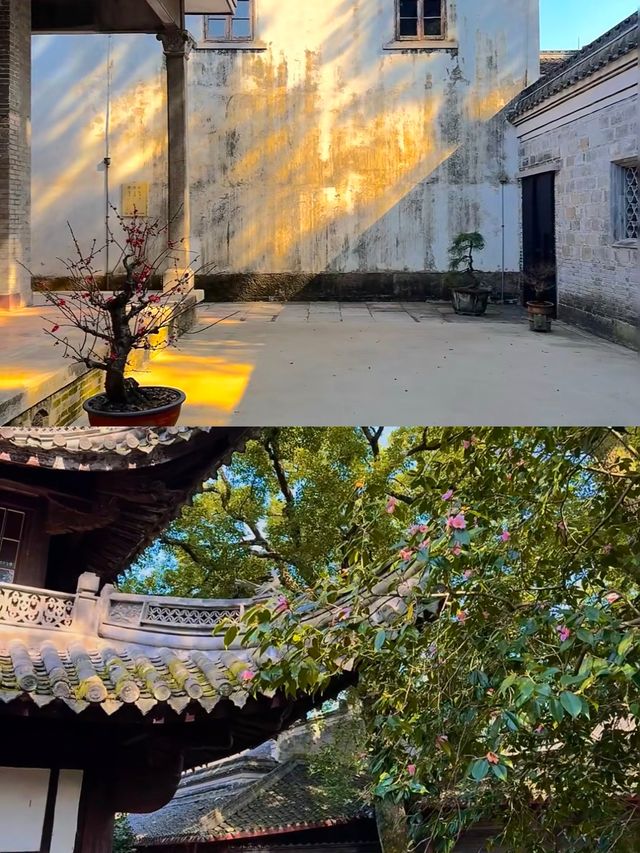 海港古城，山水佛國，舌尖上的鮮味之旅
