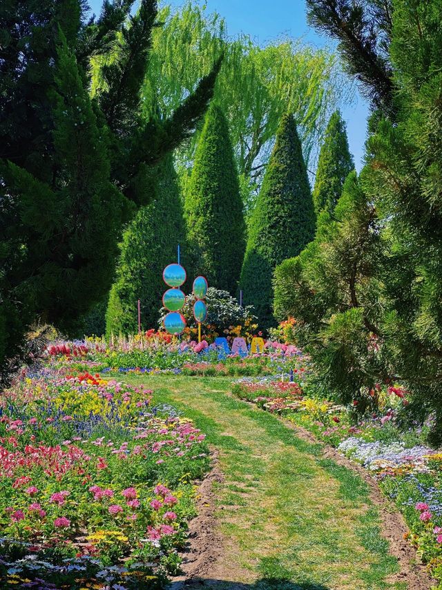 北京小眾賞花