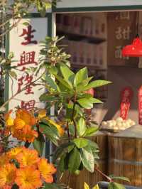 🌸夢幻般的花海在維多利亞公園等你🌼