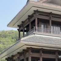 在中山！！假期來金鐘湖公園吸吸氧😌