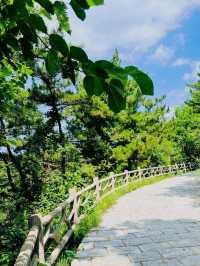 長島旅遊攻略