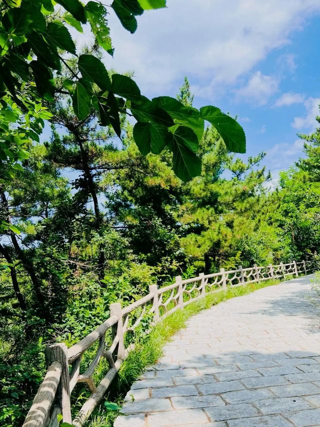 長島旅遊攻略