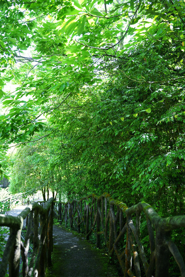 成都周邊免費溯溪玩水地，也是徒步避暑秘境！