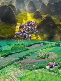 大明山全攻略徒步觀景露營全體驗