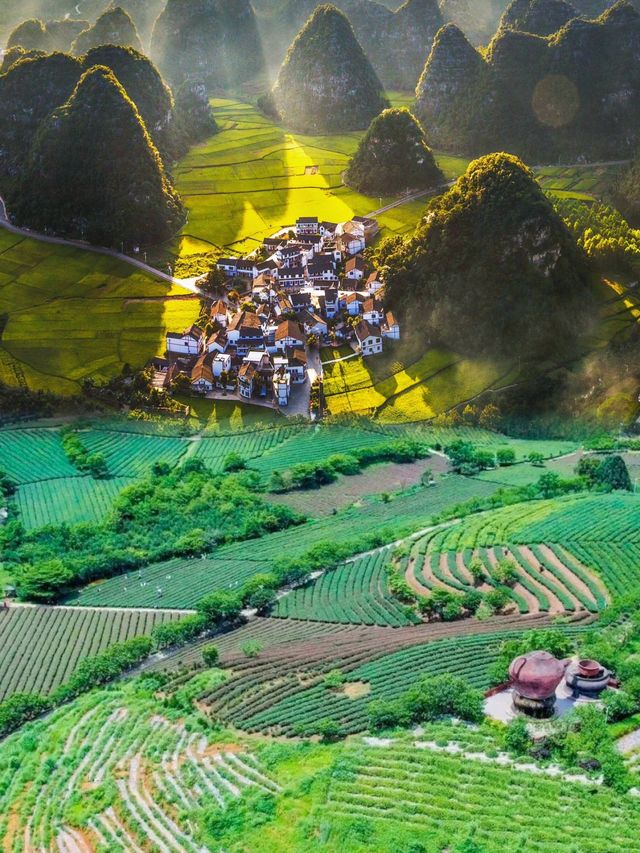 大明山全攻略徒步觀景露營全體驗