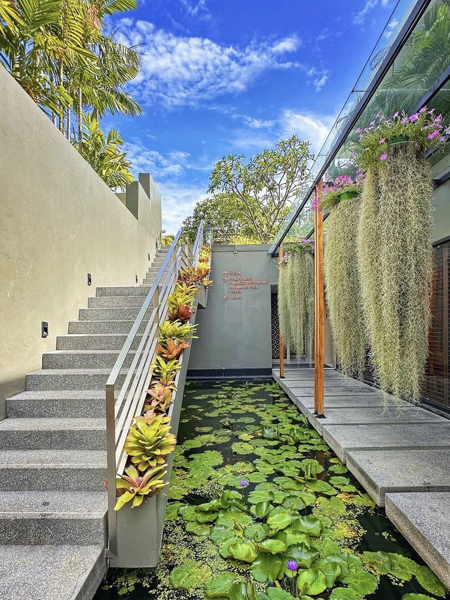 華欣V Villas MGallery～超正嘅泳池海景，影相超靚！